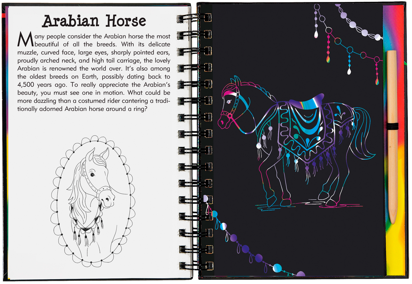 Scratch & Sketch™ Horses
