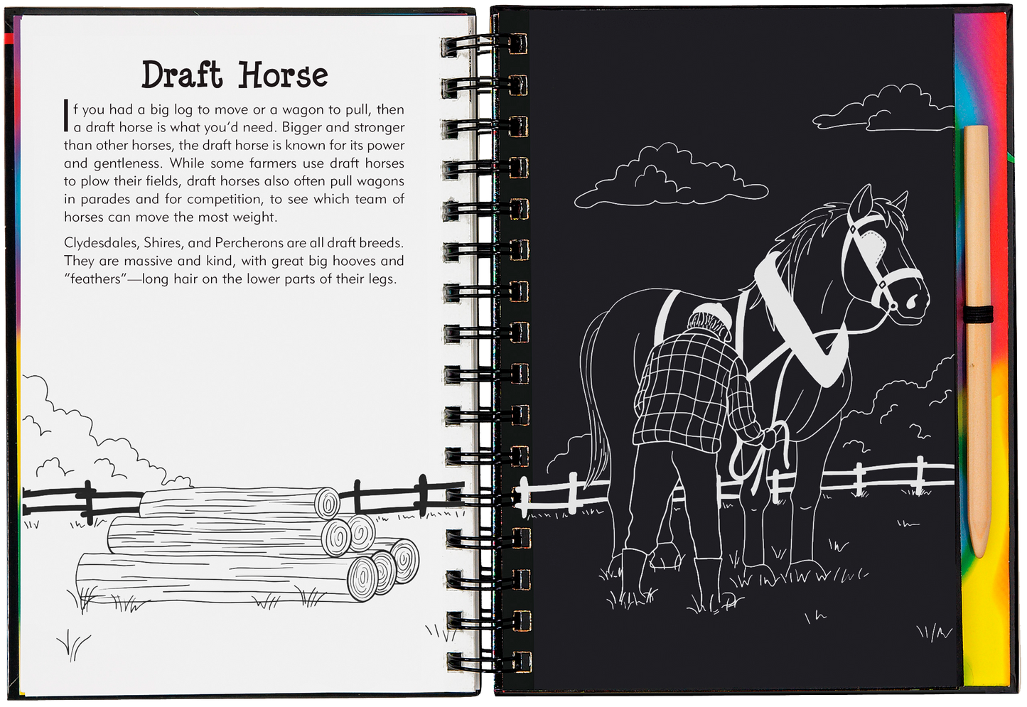 Scratch & Sketch™ Horses