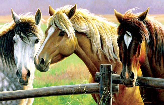Horse Fence Puzzle - 1000pcs