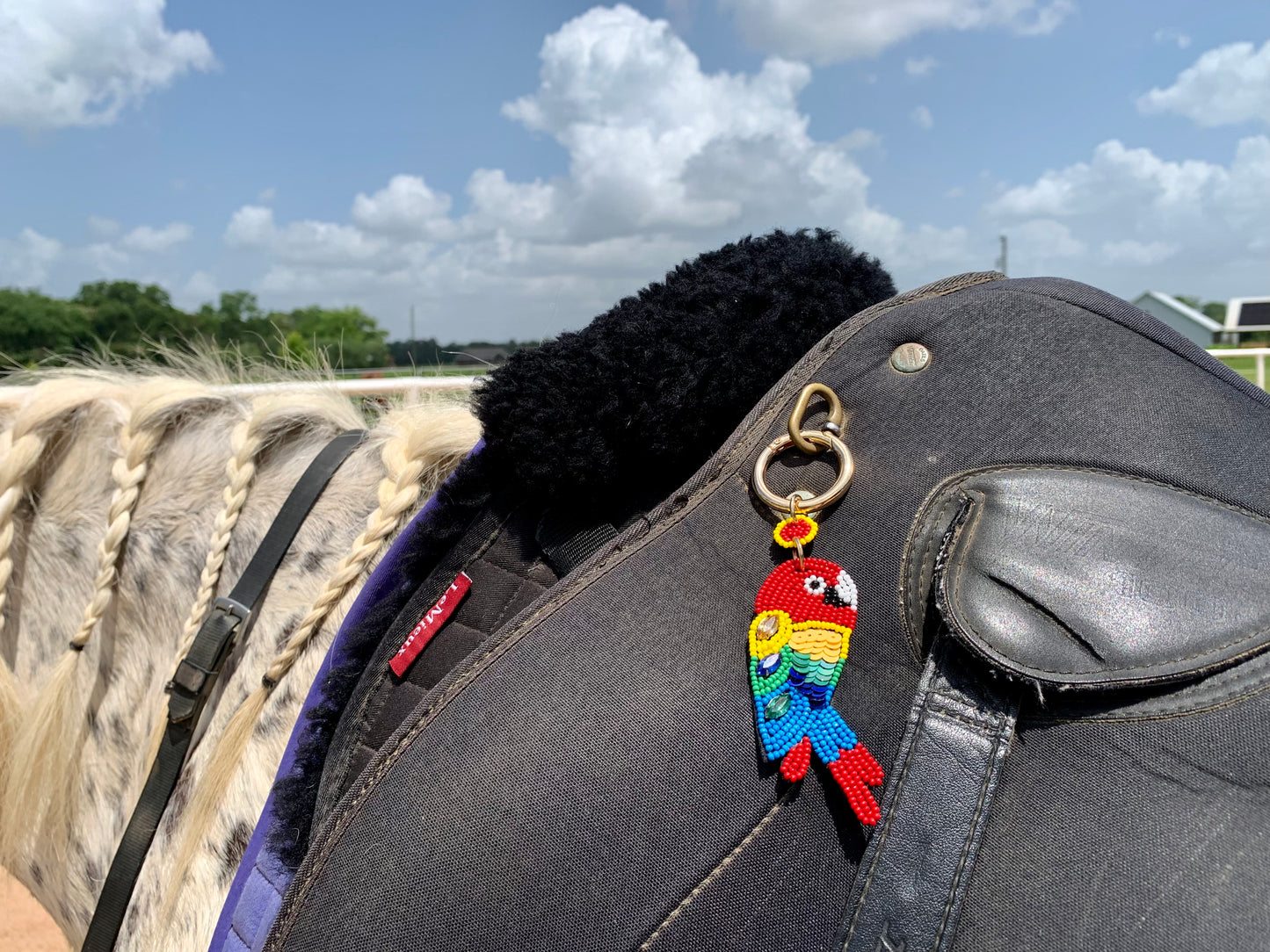 The Ultimate Charm • Parrot Oasis