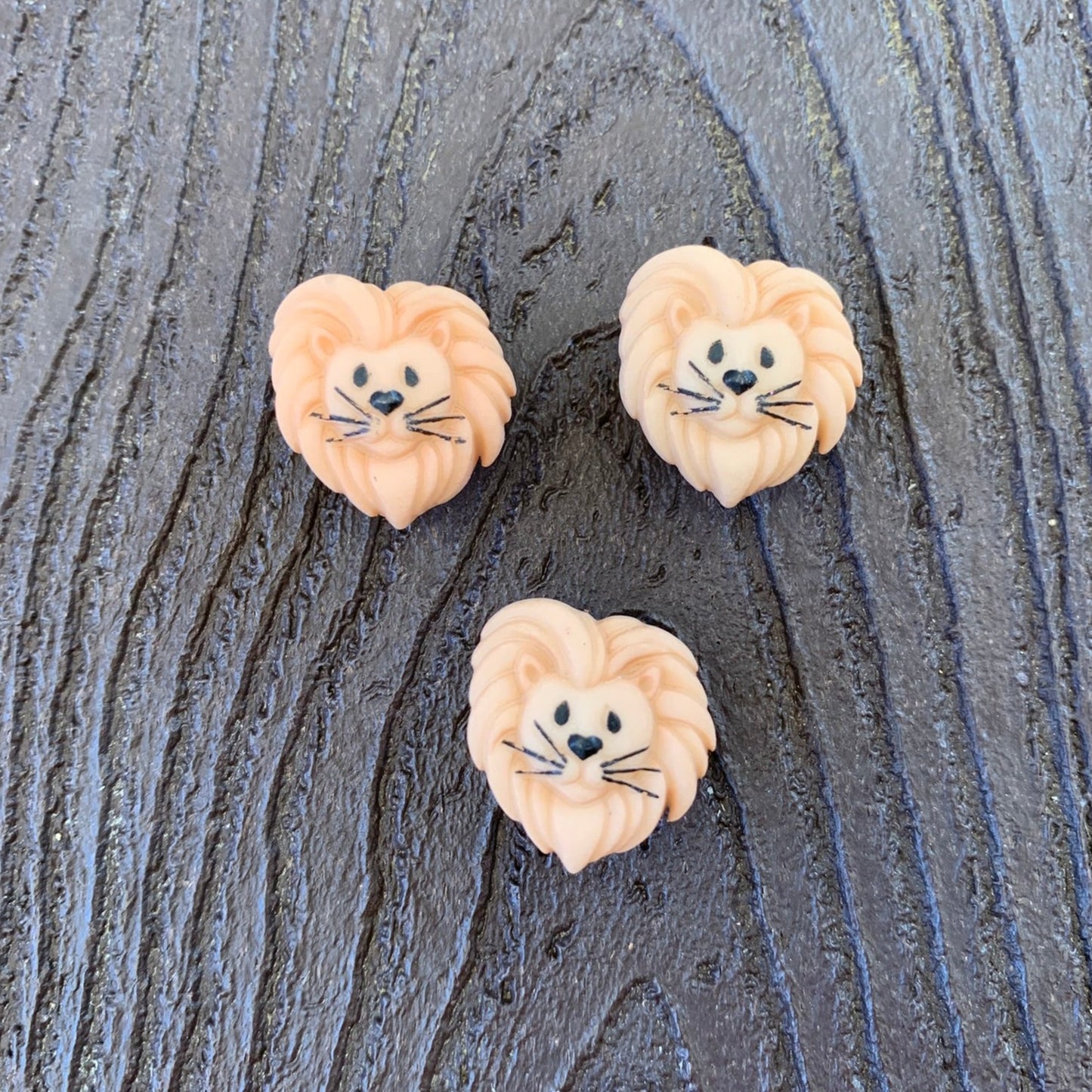 Lion Shoe Charm